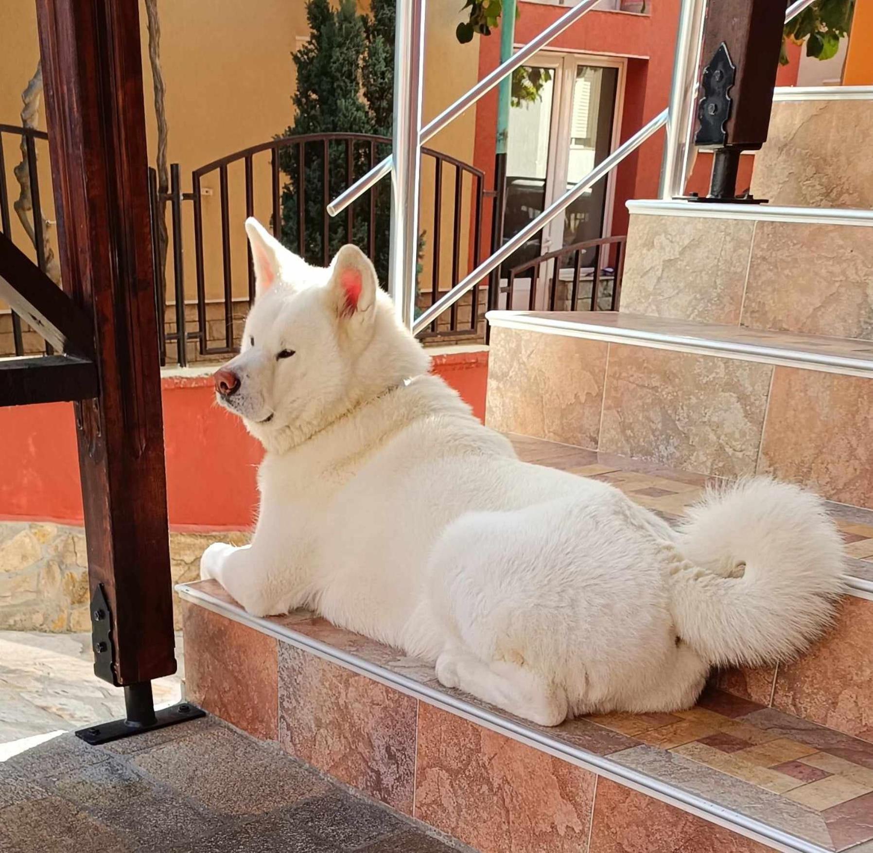 Виктория Созопол Sozopol Exterior foto